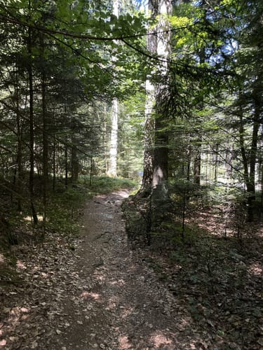 Kößlarn Tour 11 - Natur pur