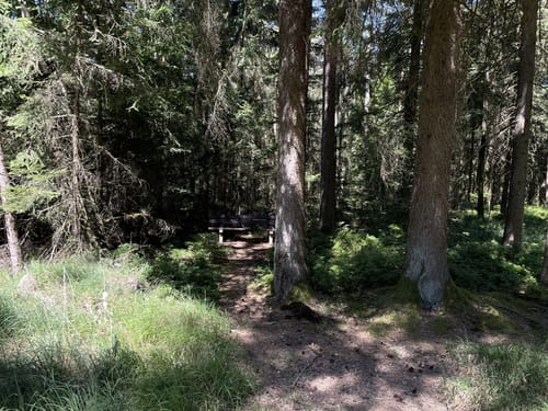 Kößlarn Tour 11 - Natur pur
