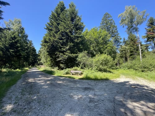 Kößlarn Tour 11 - Natur pur