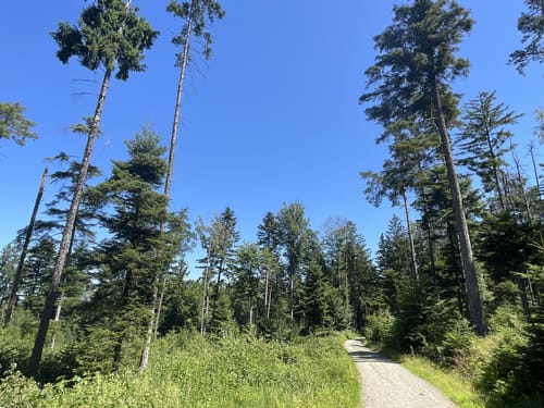 Kößlarn Tour 11 - Natur pur