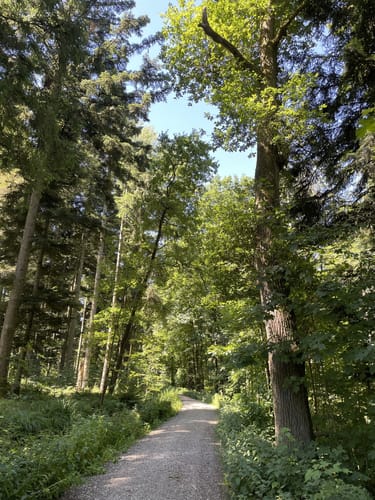 Kößlarn Tour 11 - Natur pur
