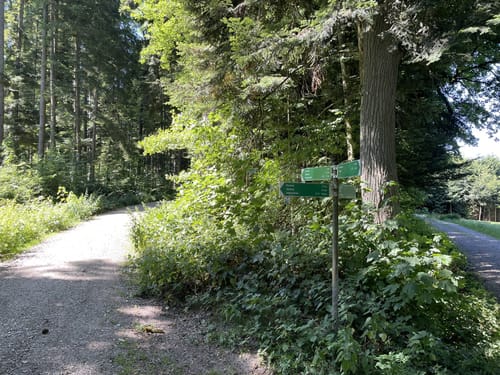Kößlarn Tour 11 - Natur pur
