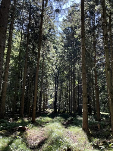 Kößlarn Tour 11 - Natur pur