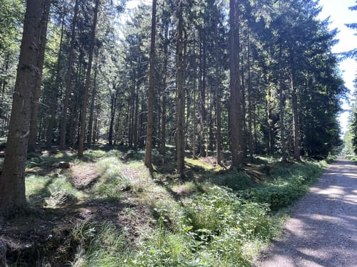 Kößlarn Tour 11 - Natur pur