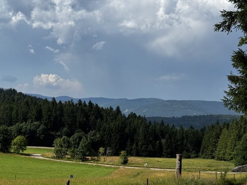 Um den Hochkopf und den Hohberg