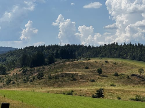Um den Hochkopf und den Hohberg