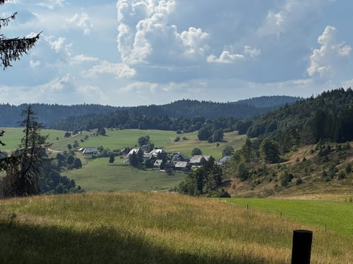 Um den Hochkopf und den Hohberg