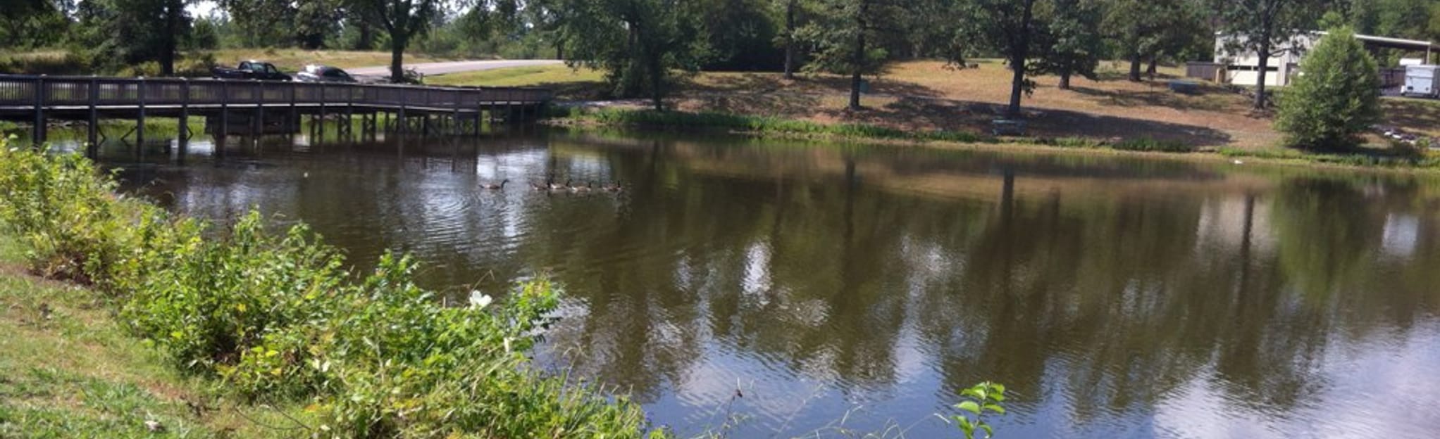 Field and Forest Trail, Arkansas 30 Reviews, Map AllTrails