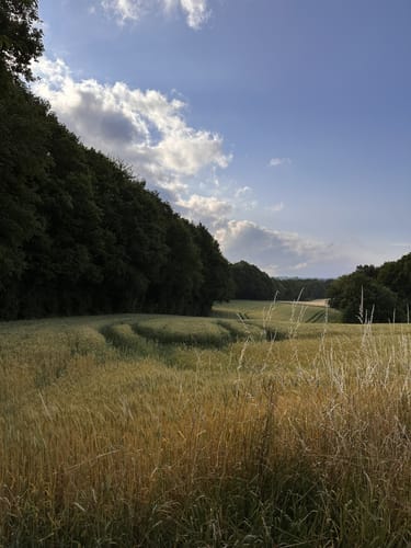 Bellinghausen - Burscheider Talsperre