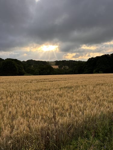 Bellinghausen - Burscheider Talsperre