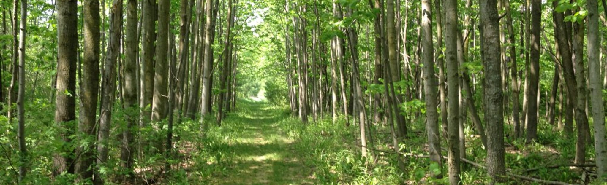 kettle moraine biking trails