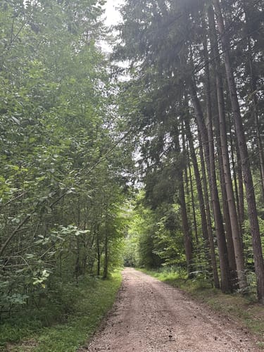 Städtedreieck-Rundweg 4 - Schwarz