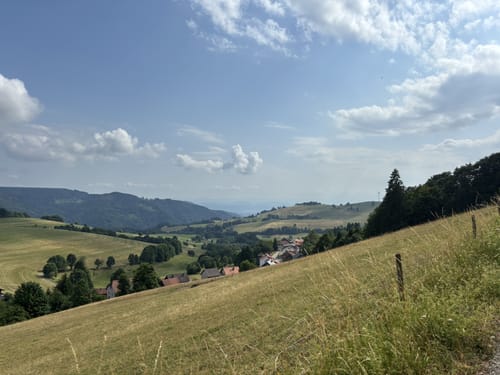 Rund um den Dietenschwander Kopf