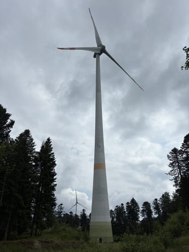 Rund um den Dietenschwander Kopf