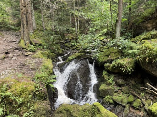 Hinterzarten und Ravennaschlucht
