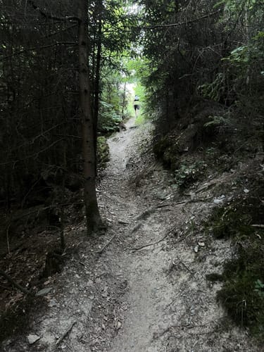 Masdascher Burgherrenweg (Traumschleife)