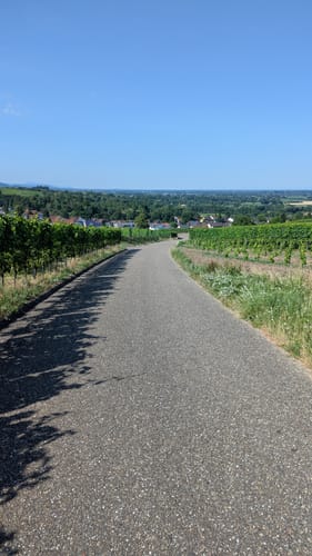 Sängerrundweg Winden