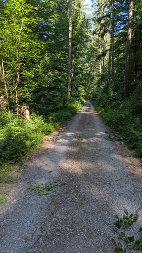 Sängerrundweg Winden