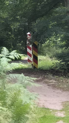 Um den Wolgastsee
