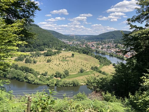 Neckarsteig Etappe 1: Heidelberg - Neckargemünd