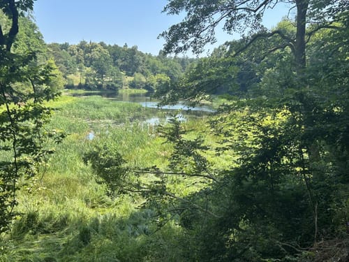 Mahdental - Bernhardsbach - Bärensee - Bärenschlössle