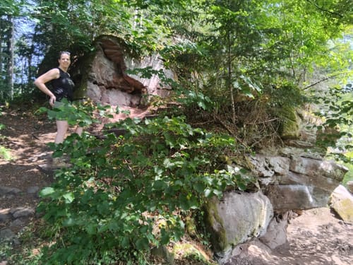 Ruine Waldeck - Fledermauspfad