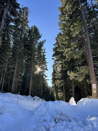 Best cross-country skiing trails in Oakridge | AllTrails