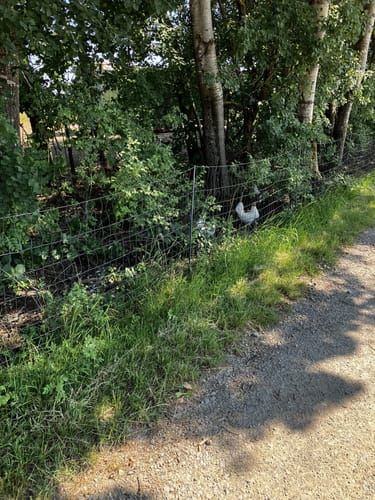Vom Ebnisee zum Aichstrutsee