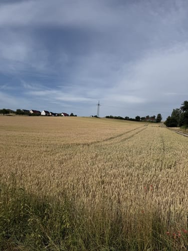 Um den Haunesee