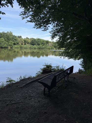 Um den Haunesee