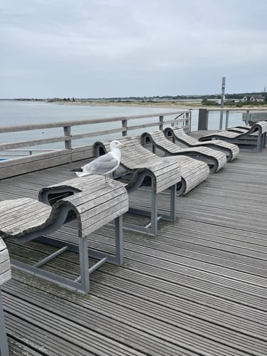 Rund um den Heiligenhafen