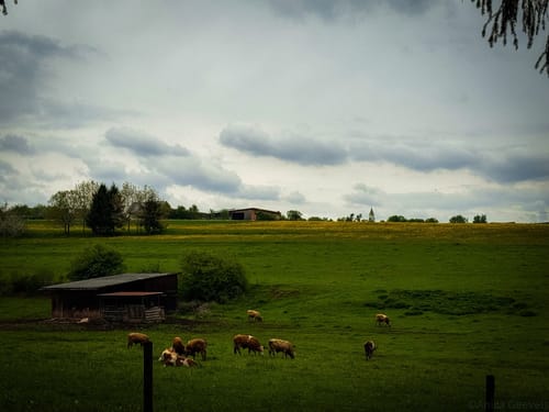 Vier-Burgen-Weg