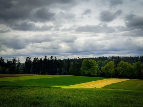 Vier-Burgen-Weg