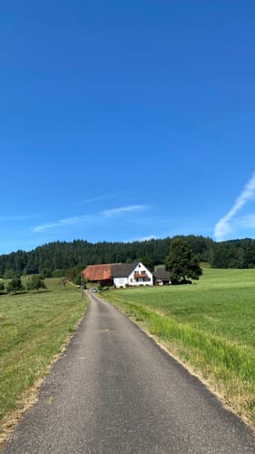 Kreuzsteinweg - Allmend