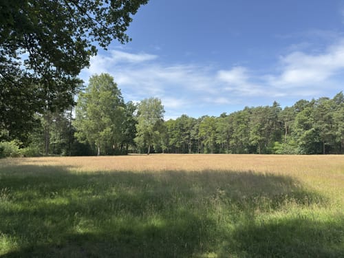 Moosheide Runde