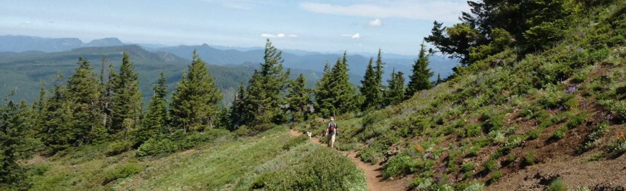 Cone Peak Trail 498 Reviews, Map Oregon AllTrails
