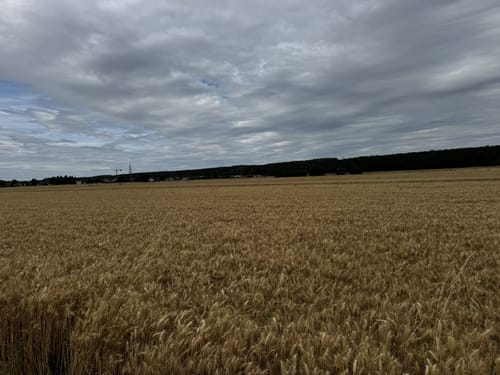 Kreuzau - Stockheim