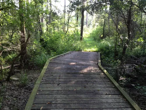 10 Best Hikes and Trails in Big Thicket National Preserve | AllTrails