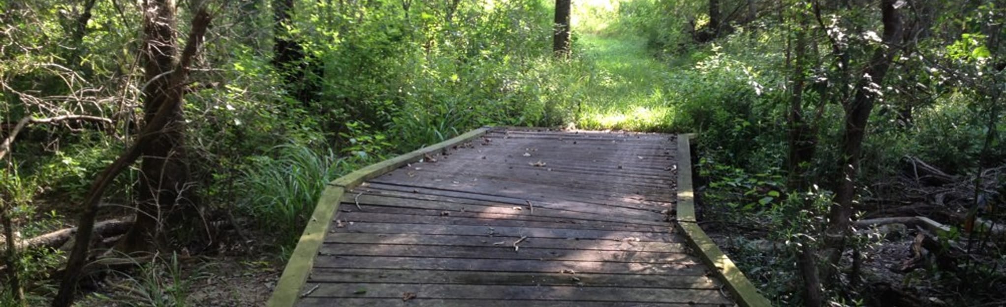 Big Thicket Turkey Creek Trail (North) 74 Reviews, Map Texas AllTrails