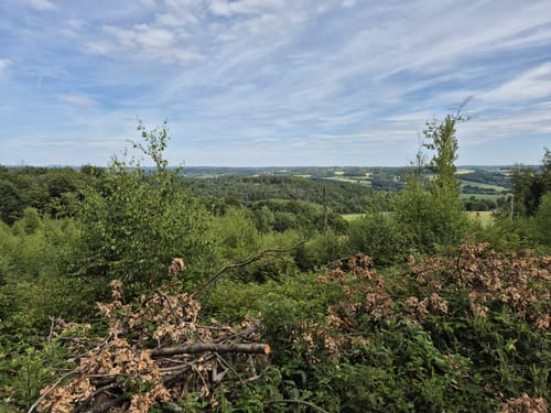 Burghausen - Oberbonrath - Altenhof