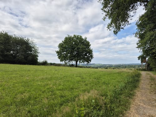 Burghausen - Oberbonrath - Altenhof