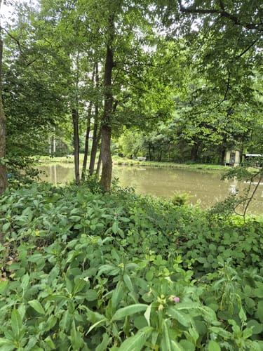 Burghausen - Oberbonrath - Altenhof
