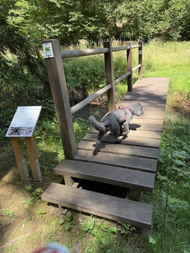 Rötelsteinpfad (Premiumwanderweg)
