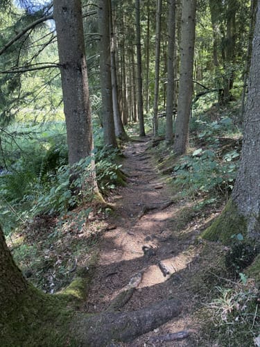 Rötelsteinpfad (Premiumwanderweg)
