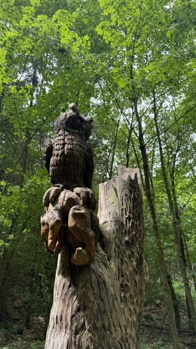 Meißner Rundweg 6