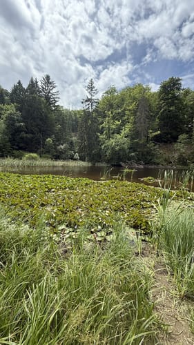 Meißner Rundweg 6