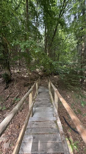 Meißner Rundweg 6