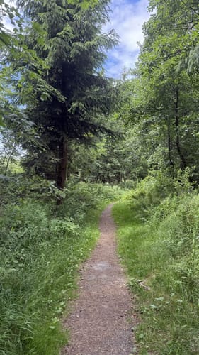 Meißner Rundweg 6