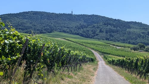 Sängerrundweg Winden