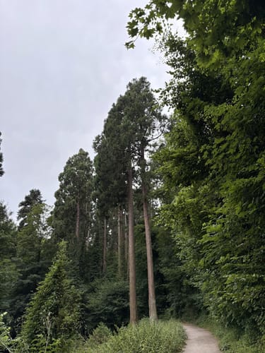 Vom Schlosspark zur Wendt Hütte